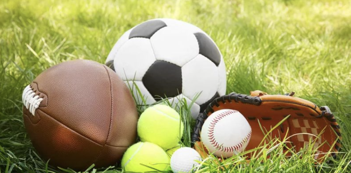 OK9 Sports cooperates with the most prestigious units